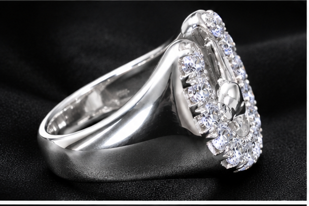 Horseshoe Ring Silver925